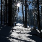 2017-12-05-Tages-Schneeschuhtouren-2018-3