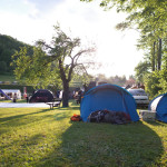 Kletterfestival-2017-1