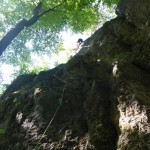 Am Kalmusfelsen