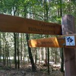 2019-07-Falkenstein-02