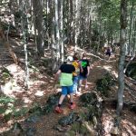 2019-07-Falkenstein-05