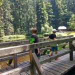 2019-07-Falkenstein-08