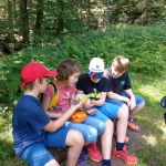 2019-07-Falkenstein-09