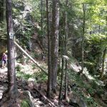 2019-07-Falkenstein-11