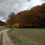 2020-10-Radltour-Hirschwald-05