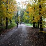 2020-10-Radltour-Hirschwald-08