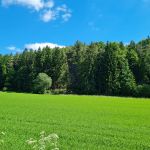 2021-06-Rote-Wand-04