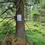 2021-07-Fichtelgebirge-02