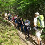 2021-07-Fichtelgebirge-11