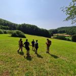 2021-07-Vergessener-Pfad-Harteinstein-09