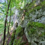 2021-07-Vergessener-Pfad-Harteinstein-11