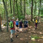 2021-07-Vergessener-Pfad-Harteinstein-14