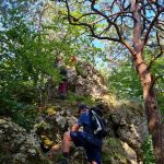 2021-07-Vergessener-Pfad-Harteinstein-21