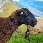 2021-09-Karwendel-17-01