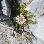 2021-09-Karwendel-17-02