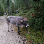 2021-09-Karwendel-17-03