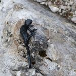 2021-09-Karwendel-17-05