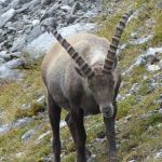 2021-09-Karwendel-17-06