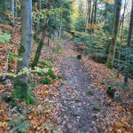 2021-10-23-Helferwanderung-02