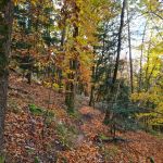 2021-10-23-Helferwanderung-03