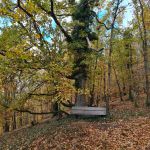 2021-10-23-Helferwanderung-07