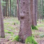 2021-10-23-Helferwanderung-11