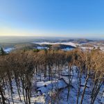 2022-01-Ossinger-05