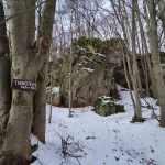 2022-01-Ossinger-10