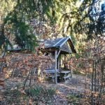 2022-02-Johannisberg-06