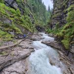 2022-06-Reuttener-03