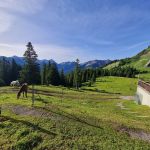 2022-06-Reuttener-13