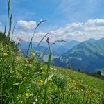 2022-06-Reuttener-17