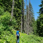 2022-06-Reuttener-30