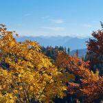 2022-10-Mangfall-04