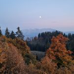 2022-10-Mangfall-15