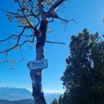 2022-10-Mangfall-26