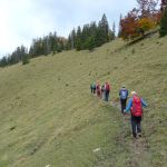 2022-10-Mangfall-36
