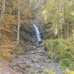 2022-10-Mangfall-38