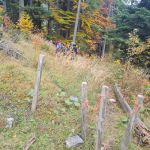 2022-10-Mangfall-40