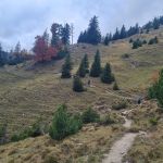 2022-10-Mangfall-42