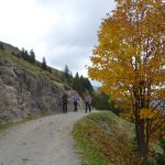 2022-10-Mangfall-44