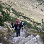 2022-10-Mangfall-46