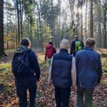 2022-11-Schwender-Felsensteig-01