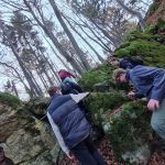 2022-11-Schwender-Felsensteig-02