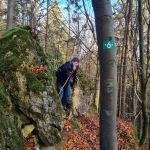 2022-11-Schwender-Felsensteig-07