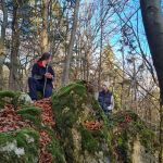 2022-11-Schwender-Felsensteig-08