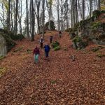 2022-11-Schwender-Felsensteig-15