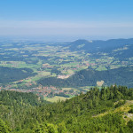 2025-08-09-12.27.49
