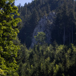 IMG_5329