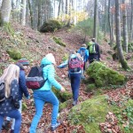 2017-11-04-Hoehlensteig-001